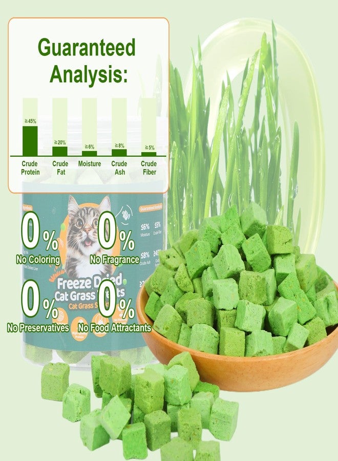 SuPruida 140g Freeze-Dried Cat Grass Treats, Natural Hairball Treatment for Cats, Edible Cats Chew Toy Cat Treats Snack for Teething Cleaning Hairball Removal - Image 5